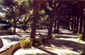 La pineta di Arenzano